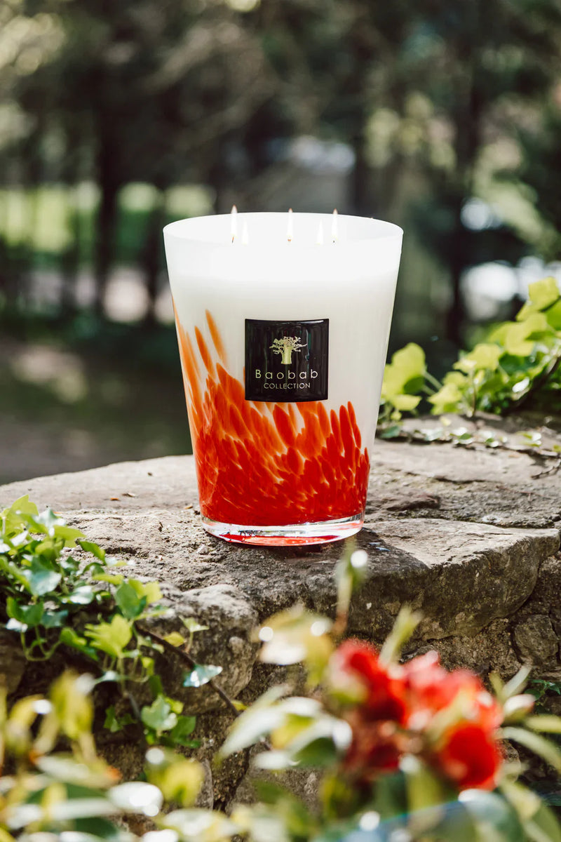 Fragancias Especiadas