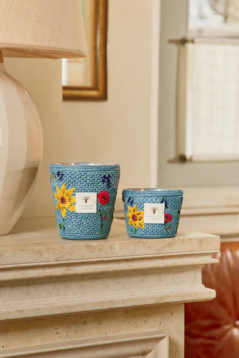 Fragrancias  acuáticas