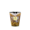 VELA BAOBAB SACRED TREES COCODY MAX16