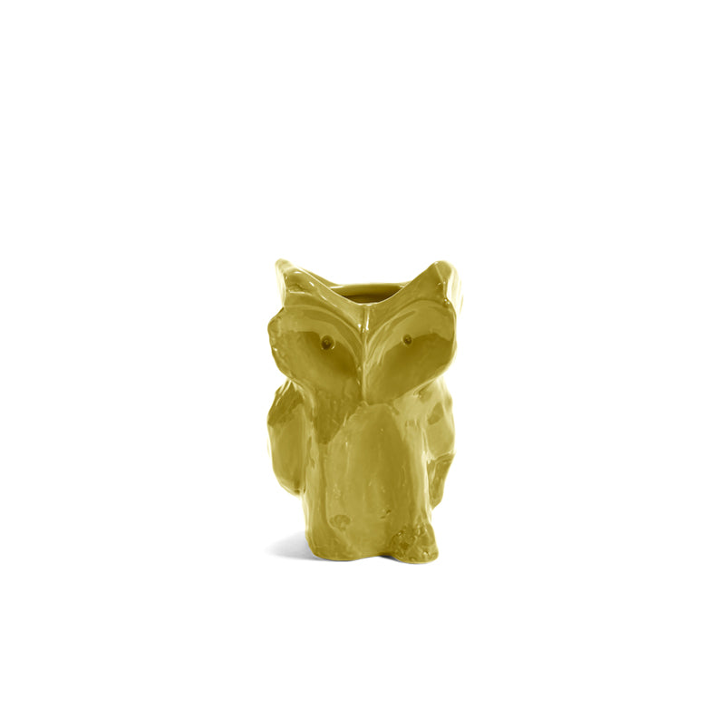 JARRON MARNI BUHO S AMARILLO