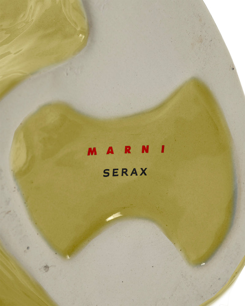 JARRON MARNI BUHO S AMARILLO