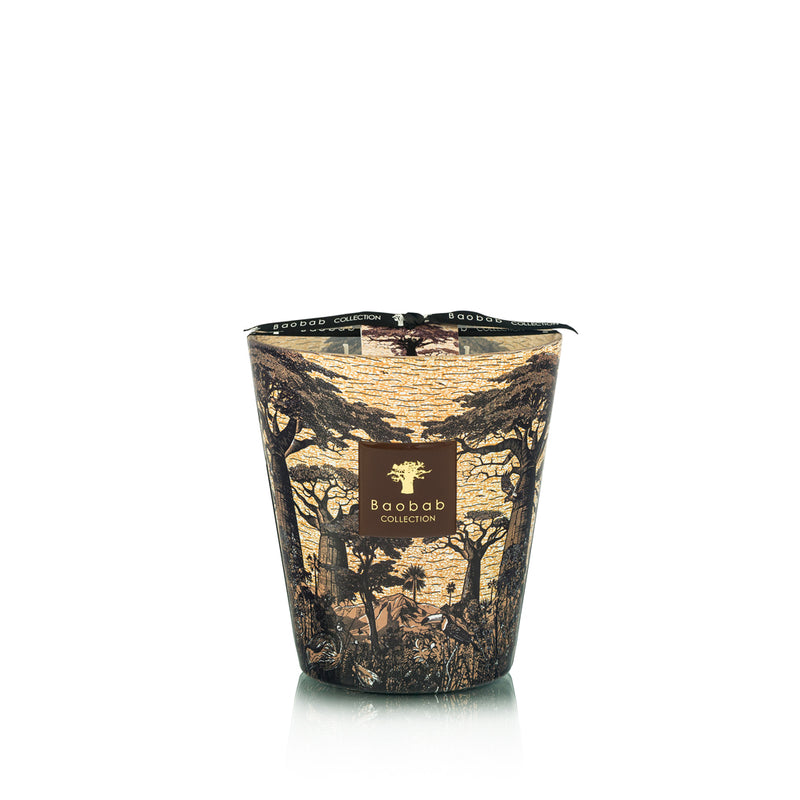 Vela Baobab Collection con estampado de paisaje y árboles en vaso cónico