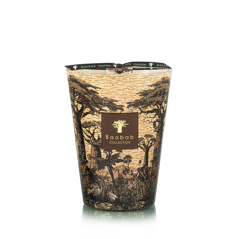 Vela Baobab Collection con estampado de selva y árboles en vaso cónico