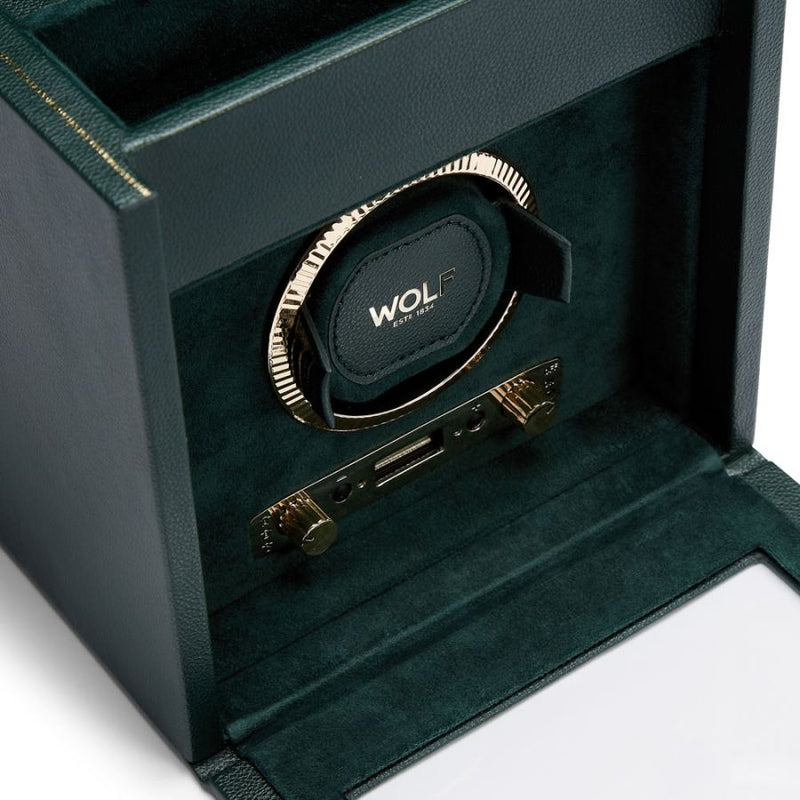 Caja de relojes verde oscuro con vista interior del soporte del reloj y correa enrollada