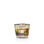 Vela Baobab en vaso de vidrio transparente con paisaje provenzal ilustrado
