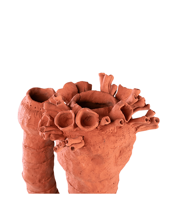 ESCULTURA REEF 02