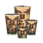 Juego de velas Baobab Collection con estampado de árboles en vasos, varios tamaños