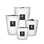 Set de velas Baobab en vasos blancos: varias tamaños con etiquetas negras y árbol dorado.