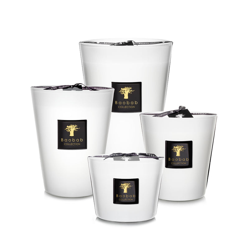 Set de velas Baobab en vasos blancos: varias tamaños con etiquetas negras y árbol dorado.