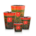 Conjunto de velas Baobab en vasos rojos y verdes con flores, con etiquetas Baobab