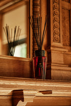 Baobab Leather Diffuser from Russia