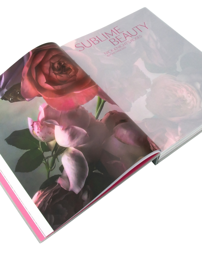 Estuche Dior en flor con rosas y tapa gris; texto Sublime Beauty en la esquina