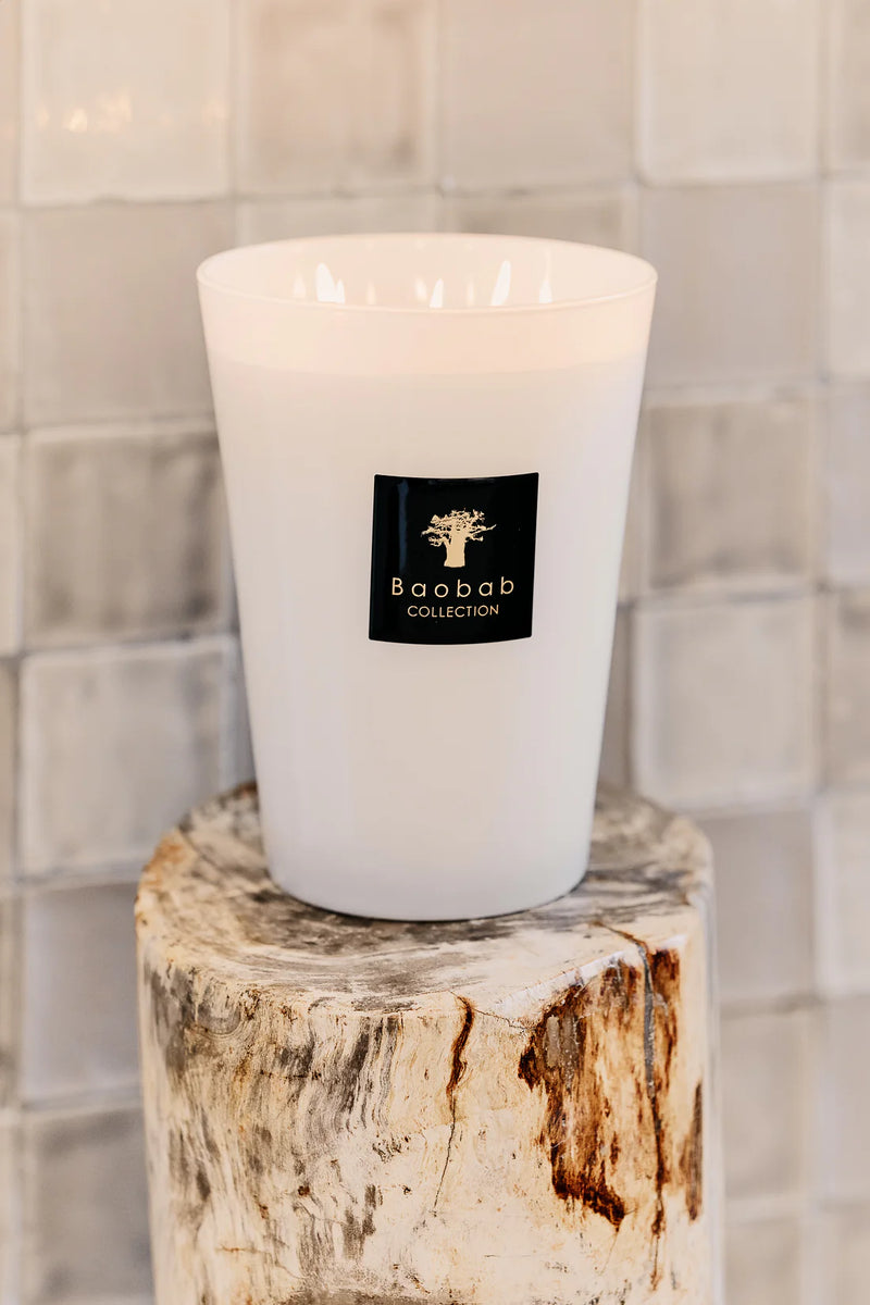 Vela Baobab en vaso blanco con mecha encendida; etiqueta negra y árbol dorado.