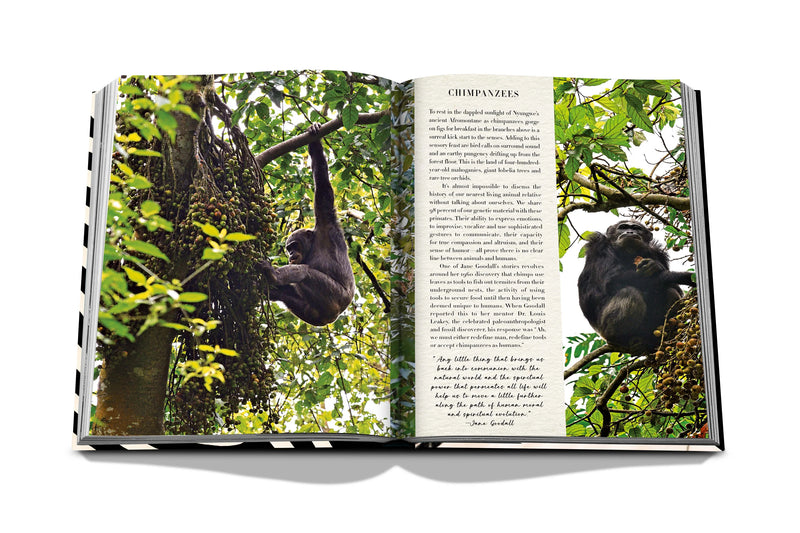 AFRICAN ADVENTURES: THE GREATEST SAFARI ON EARTH
