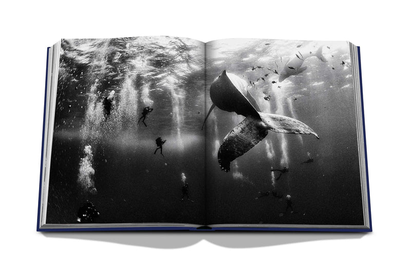 OCEAN WANDERLUST