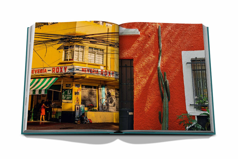 Libro Ciudad de México abierto con fotos de edificios coloridos y una pared roja