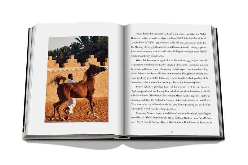 HORSES FROM SAUDI ARABIA