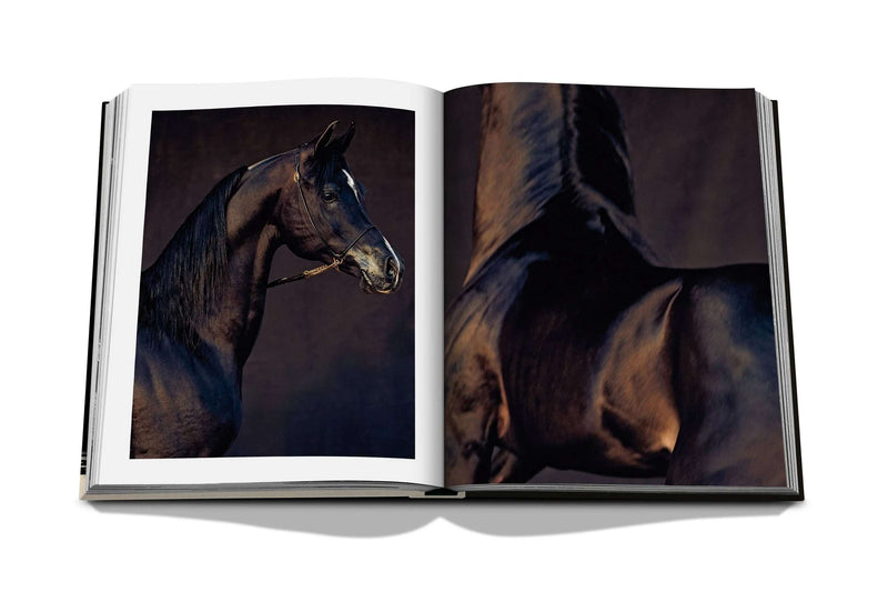 HORSES FROM SAUDI ARABIA