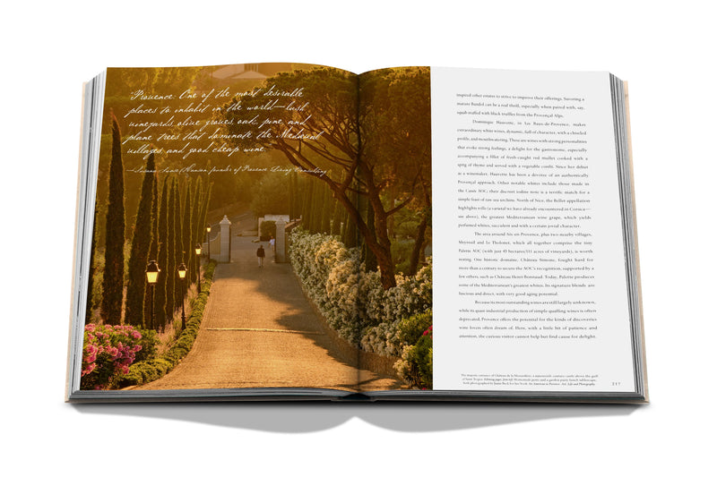 Libro de vino y viajes Francia abierto, camino entre flores y textos en ambas páginas