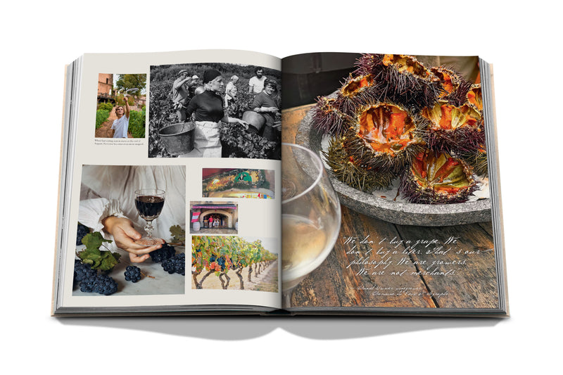 Libro de viajes y vino, páginas abiertas con fotos de cocina y plato con llamas