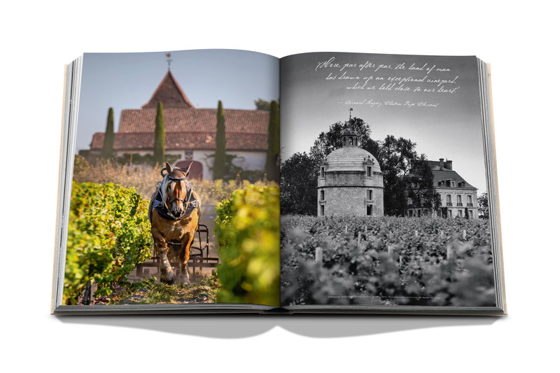 Libro de vino y viajes Francia abierto, viñedo con caballo y foto en blanco y negro
