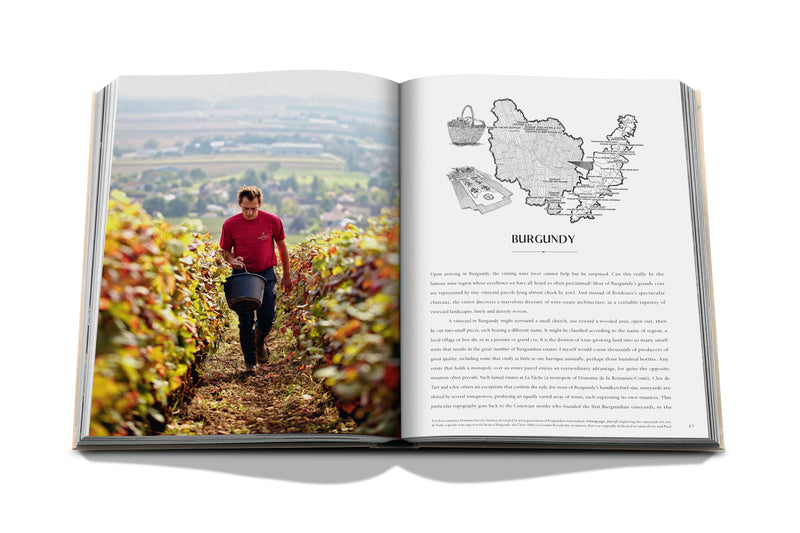 Libro de vino y viajes Francia abierto, caminante en viñedos y mapa de Borgoña