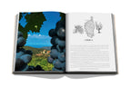Libro de vino y viajes Francia abierto, uvas en primer plano y mapa de Córcega
