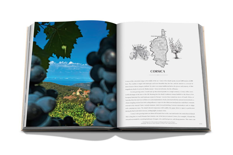 Libro de vino y viajes Francia abierto, uvas en primer plano y mapa de Córcega