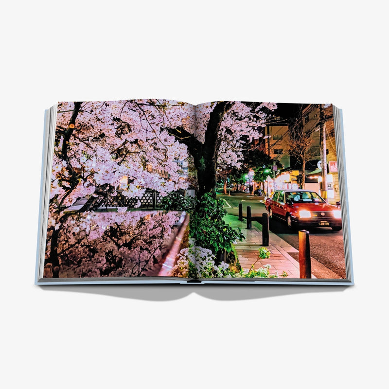 KYOTO SERENITY