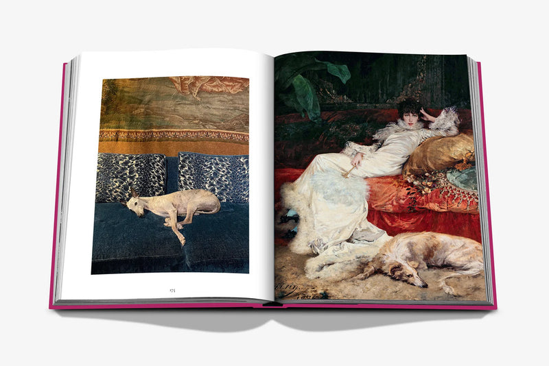 Libro de fotos abierto con perros sobre cojines y uno pardo de pie en la imagen