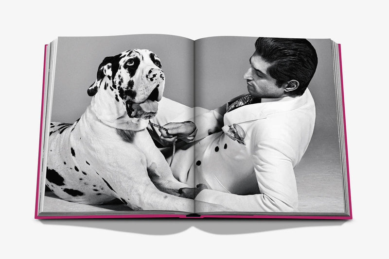 Open Chic Dogs spread: dalmatian with tied bow as a person adjusts its collar