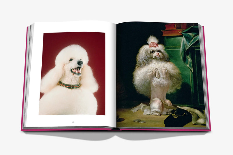 Open Chic Dogs spread: white poodle portrait on left, dressed small dog on right