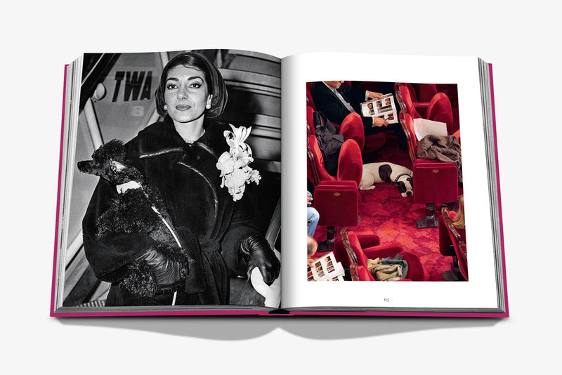 Libro de fotos abierto con mujer y perro negro, y foto adicional con varios perros