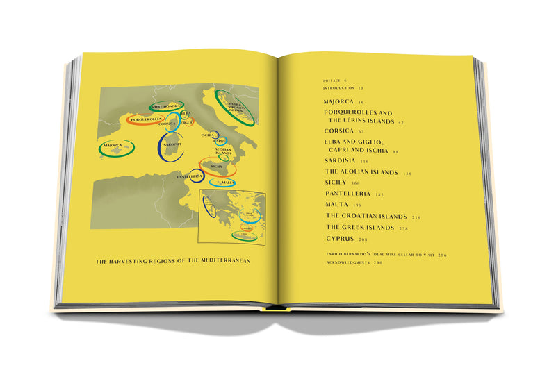 Libro abierto con mapa e ilustraciones de regiones mediterráneas en páginas amarillas
