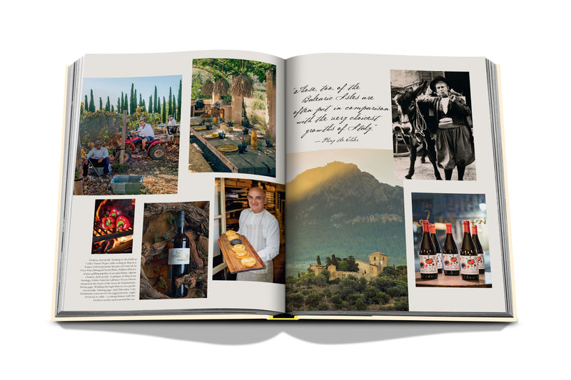 Libro abierto con collage de fotos y botellas en varias viñetas