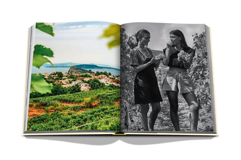 Libro abierto con paisaje de viñedos y foto en blanco y negro de dos personas