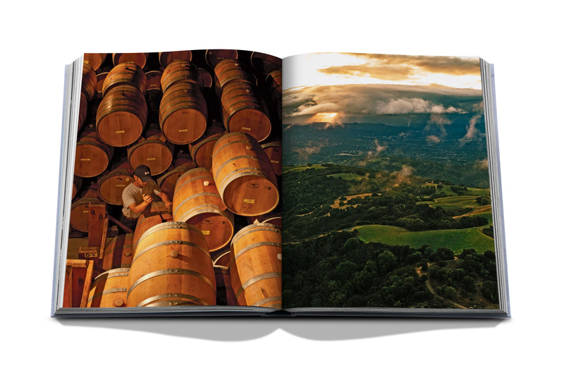 Libro abierto, barriles en bodega y paisaje de viñedos