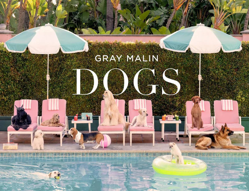 Portada del libro Gray Malin Dogs con perros en sillas junto a piscina