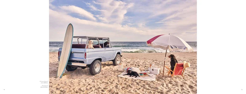 Página del libro Gray Malin Dogs con perros en la playa, carrito y sombrilla