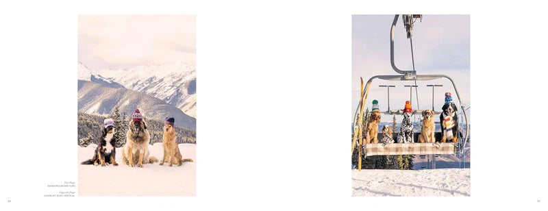 Página del libro Gray Malin Dogs con fotos pequeñas de perros en nieve y bañera