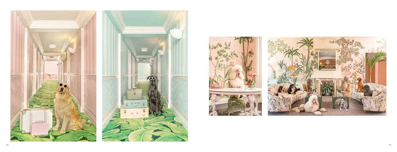 Página del libro Gray Malin Dogs con varias escenas de perros en interior colorido