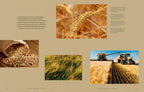 Libro abierto con fotos de grano y cosecha en recuadros