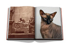Libro abierto con fotos de gatos, una en blanco y negro y otra en interior