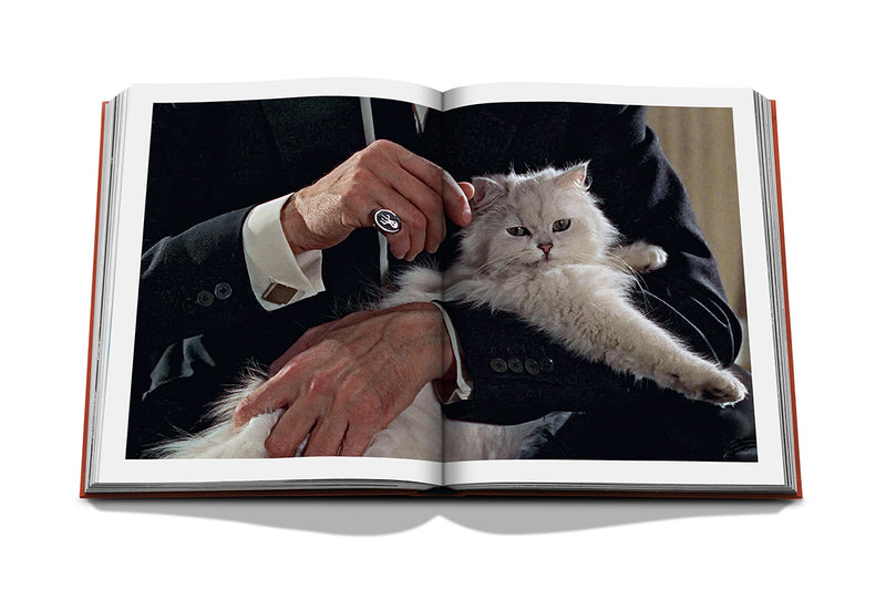 Libro abierto con foto de gato blanco sujeto por una persona con anillo