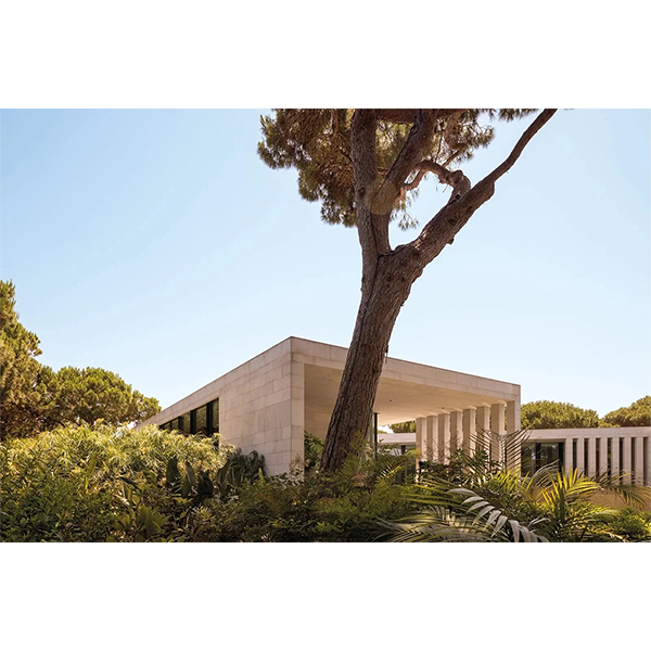 Página del libro con casa moderna de piedra y estructura de madera, vista exterior.