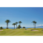 Libro GOLF con campo de golf verde, palmeras y varios hoyos en la distancia.