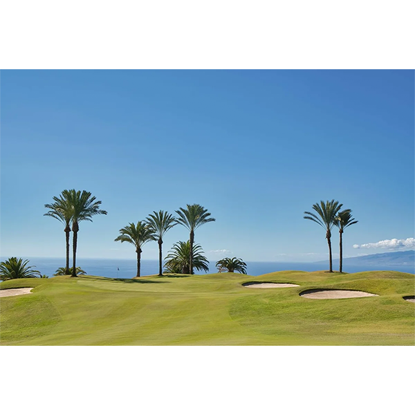 Libro GOLF con campo de golf verde, palmeras y varios hoyos en la distancia.