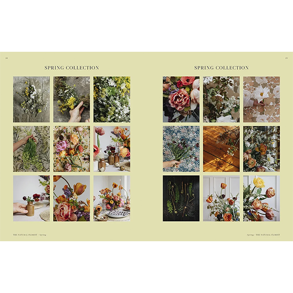 FLOWER PHILOSOPHY