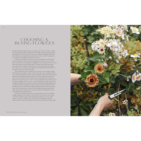 FLOWER PHILOSOPHY