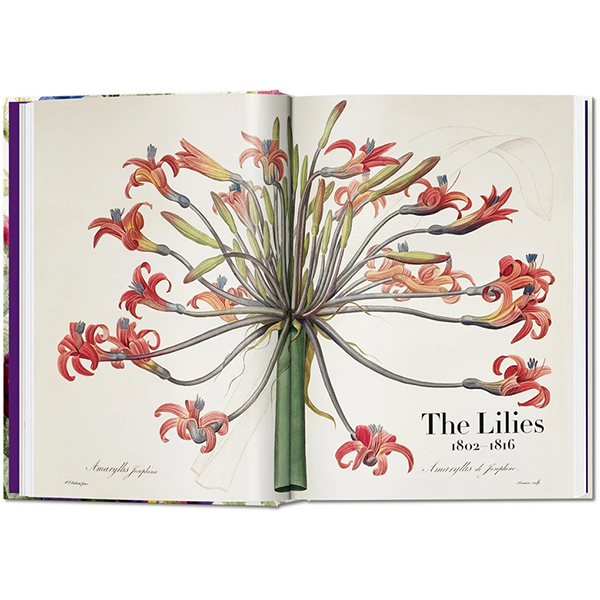 REDOUTÉ - BOOK OF FLOWERS 45th EDT.